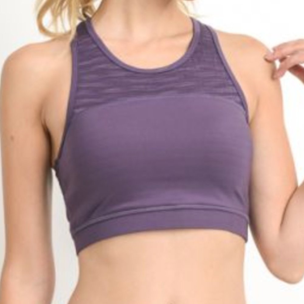 Burnout Mesh Sports Bra